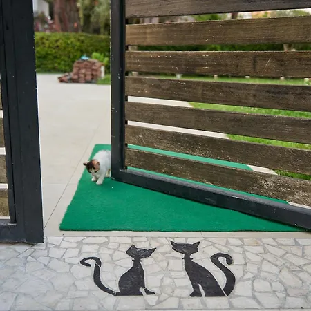 Eva 公寓式酒店 格勒姆